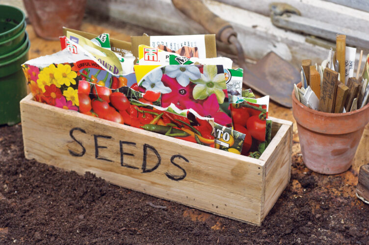 Best Vegetable Seed Companies